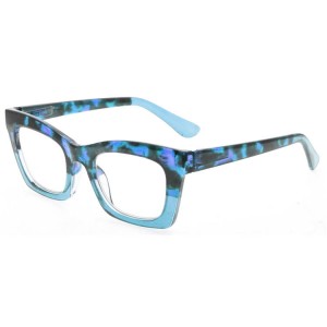 Plastic Reading Glasses